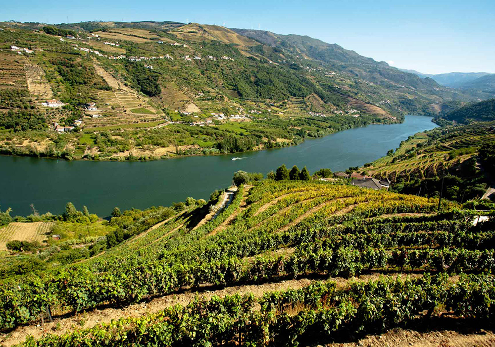 Firmarejse til Porto & Douro